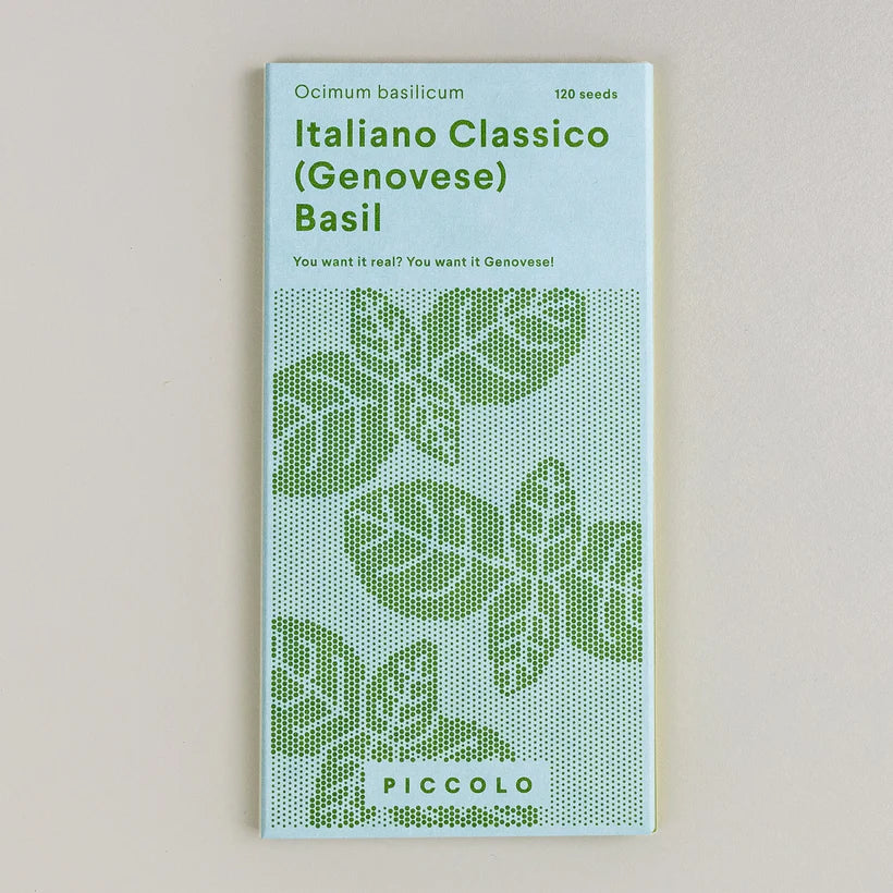 Piccolo, Italiano Classico Basil (Genovese), Samen
