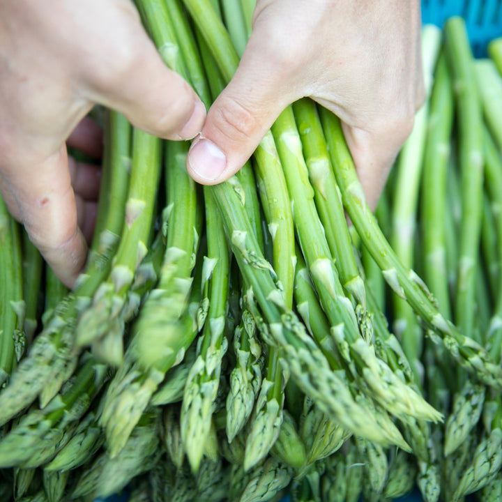 Badische Frühlingsküche 27.04.2026