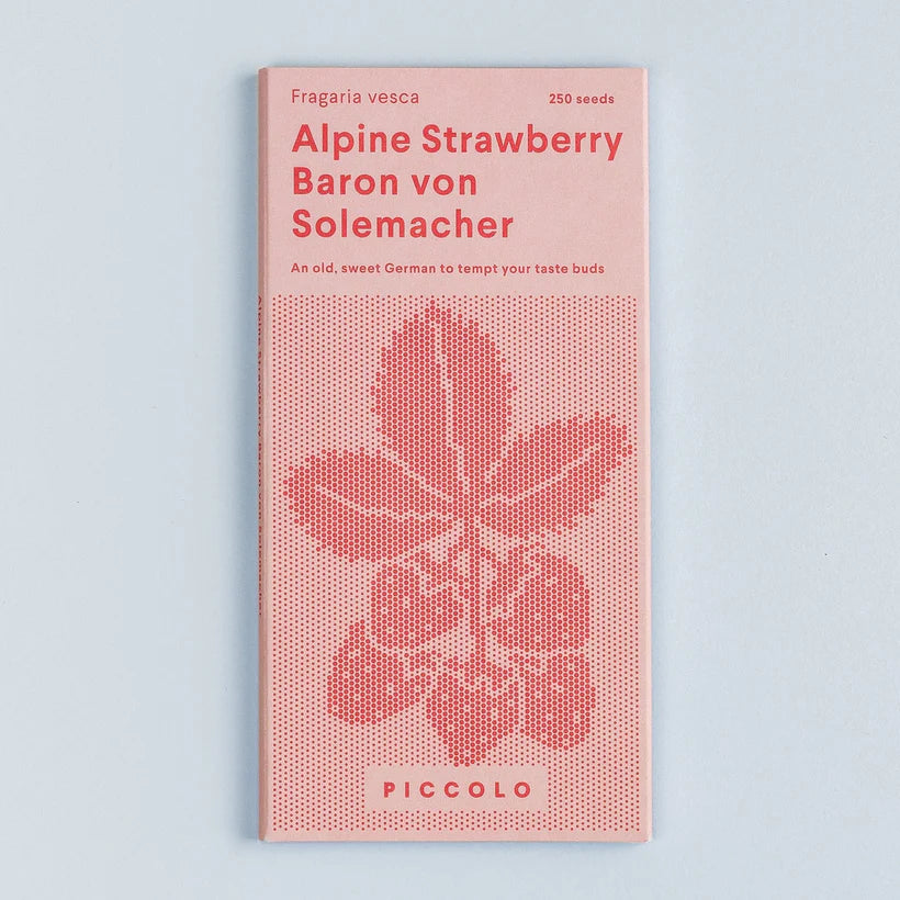 Piccolo, Alpine Strawberry Baron von Solemacher, Samen